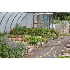 Your Organic Larder with Stephen Campbell - Saturday 15th July 2023